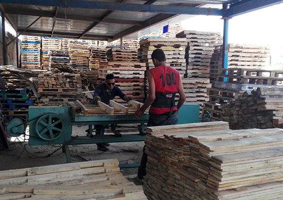 tarimas de madera